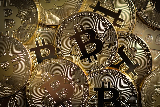 1. Bitcoin's Future in the Global Economy